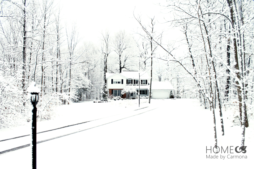 My House-snowy