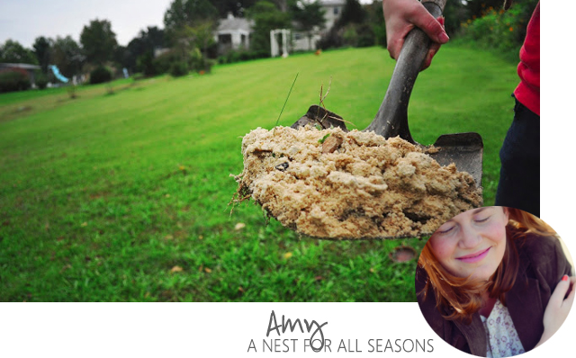 Soil Prep - A Nest For All Seasons