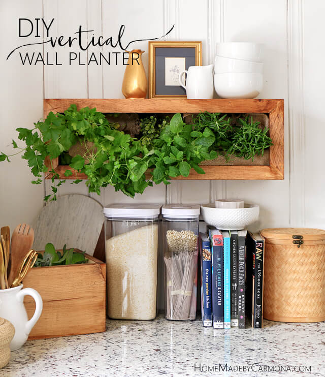 DIY Vertical Wall Planter - Home Made by Carmona