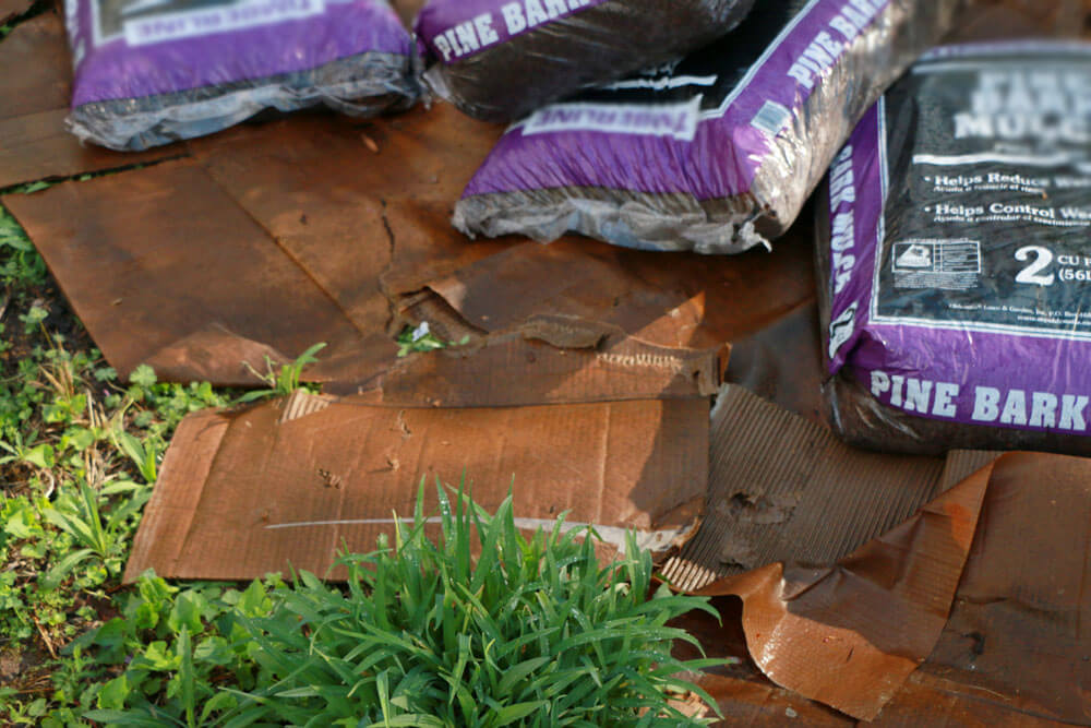 How To Create The Perfect Spring Garden Home Made by Carmona