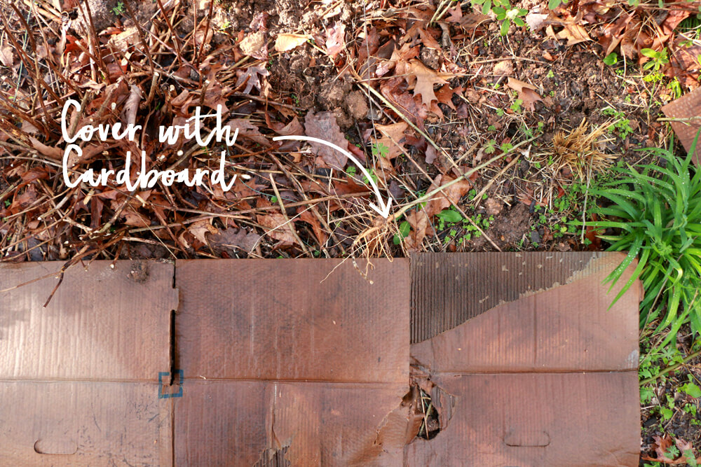 How To Create The Perfect Spring Garden Home Made by Carmona