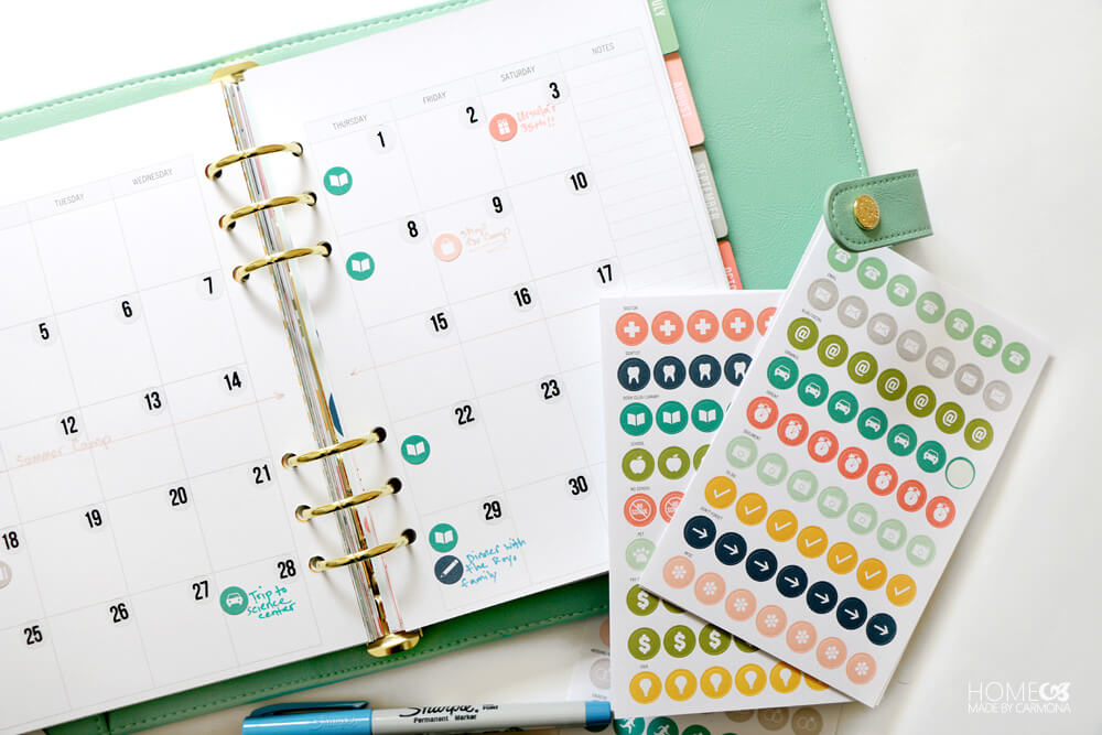 Stay Organized with the Stylish Carpe Diem Planner