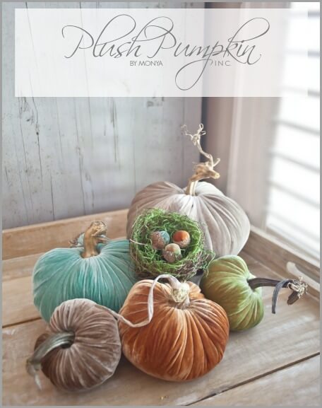 Plush-Pumpkin-Graphic-bHOME