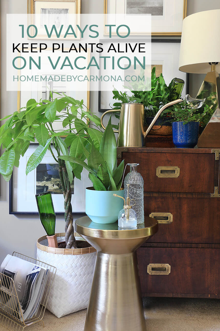 10-ways-to-keep-plants-watered-on-vacation-home-made-by-carmona